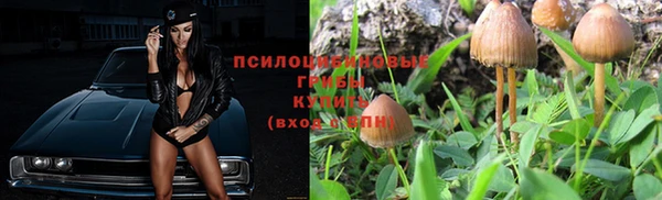 первитин Абинск