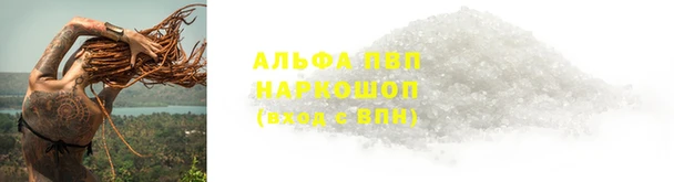 ПСИЛОЦИБИНОВЫЕ ГРИБЫ Абаза