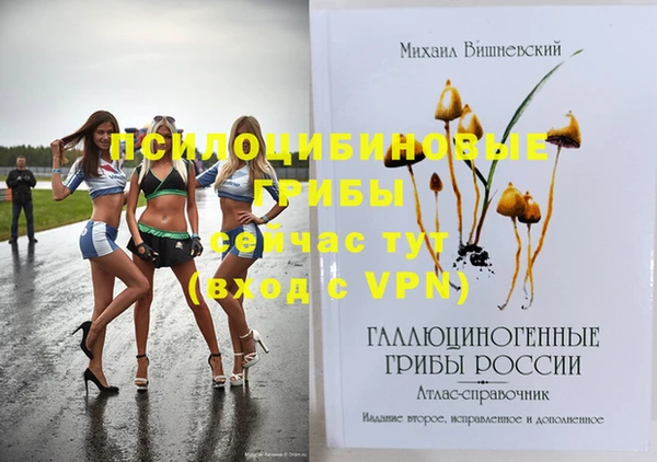первитин Абинск