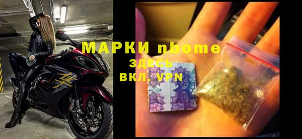 ПСИЛОЦИБИНОВЫЕ ГРИБЫ Абаза