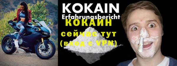 ПСИЛОЦИБИНОВЫЕ ГРИБЫ Абаза
